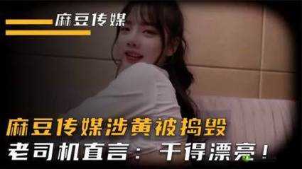 麻花豆传媒：涉嫌违法的不良传媒