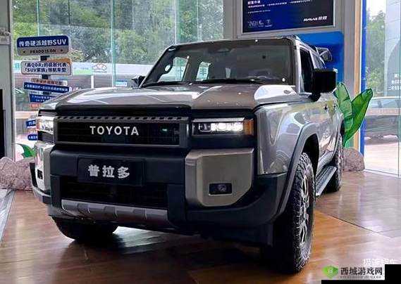 国产 SUV 精品一区二区四:卓越车型引领潮流