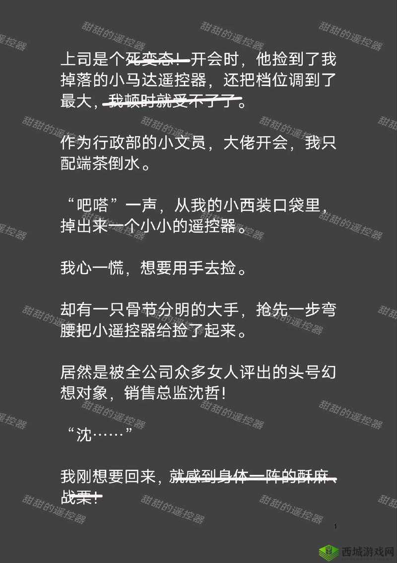 老板捡到小马达遥控器免费：这是怎样的缘分