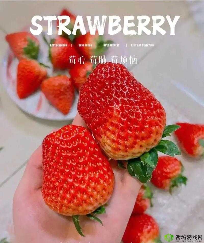 蜜丝婷大草莓 VS 小草莓：谁更胜一筹