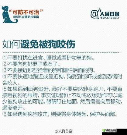 被自己家狗上瘾了怎么办:这可咋整