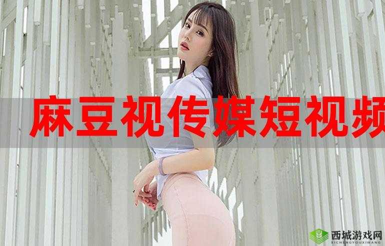 麻花豆传媒剧国产MV的发展前景:未来走向分析
