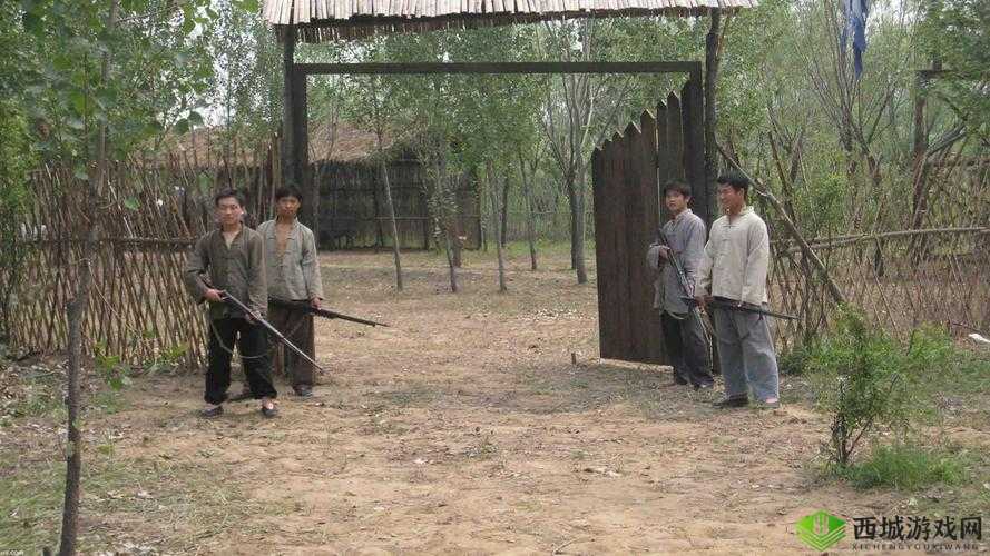 儿子耕了母亲荒废的田清朝:背后的故事