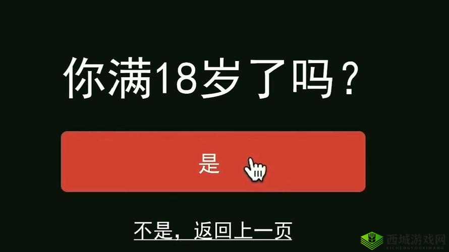 藏精阁未满十八岁,这些内容你需要知道