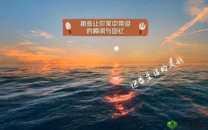 你从十岁插在樱花上面什么歌:回忆与感悟