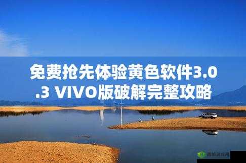 vivo3.0.3 每天无限次破解版大全:畅享无限制体验