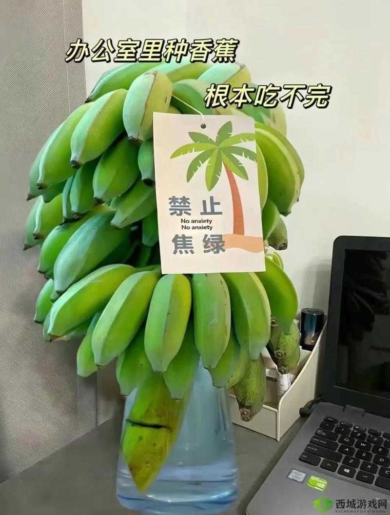 黄 www 禁止男女萝卜:一段被禁止的历史