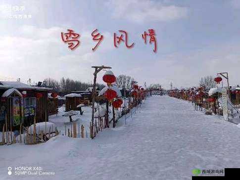 www.mdcm：官方网站