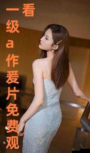 国产 A 级毛片:经典之作不容错过