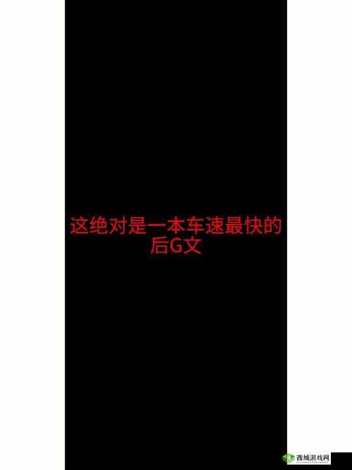 车速很高的 R 文双男：他们在公路上的激情与挑战