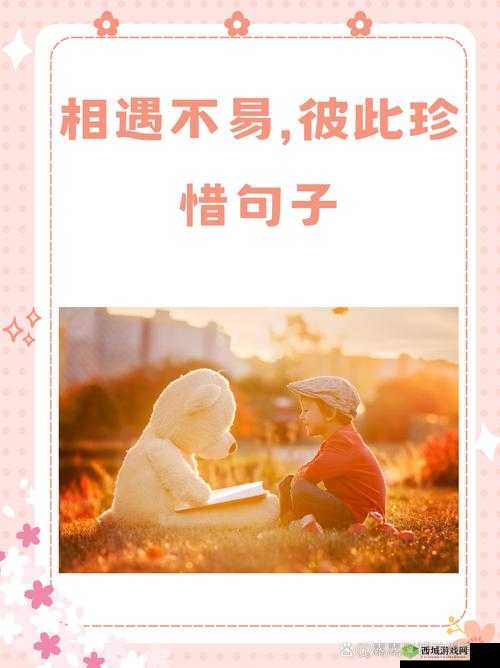 男桶女的别样精彩故事:从相遇相知到情感纠葛
