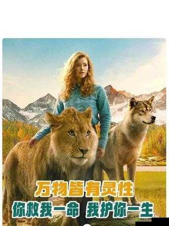 当人与兽相遇：超越物种的情感与联系