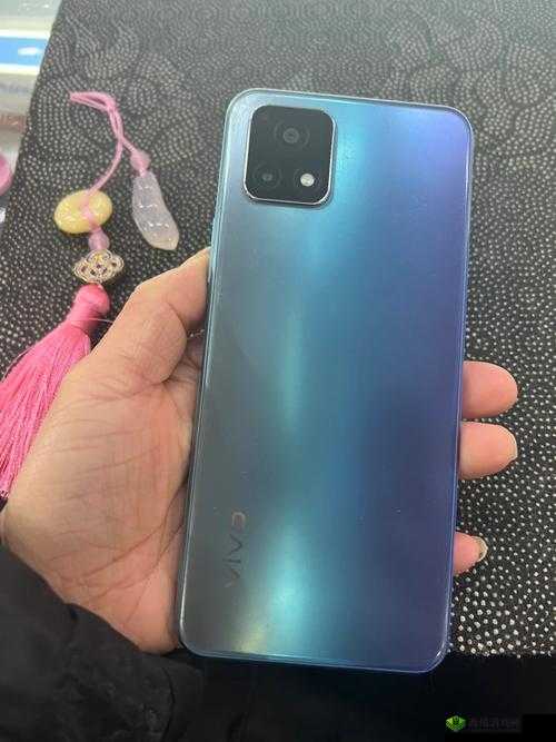成色好的 Y31S 标准版:性能卓越的实用之选
