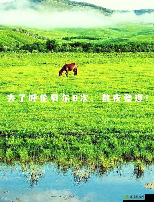 狠狠爱导航:开启精彩无限的便捷之旅