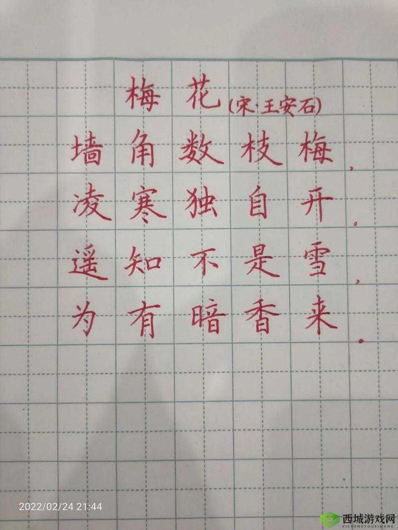 梅花楷书作品:展现传统书法艺术的独特魅力与韵味