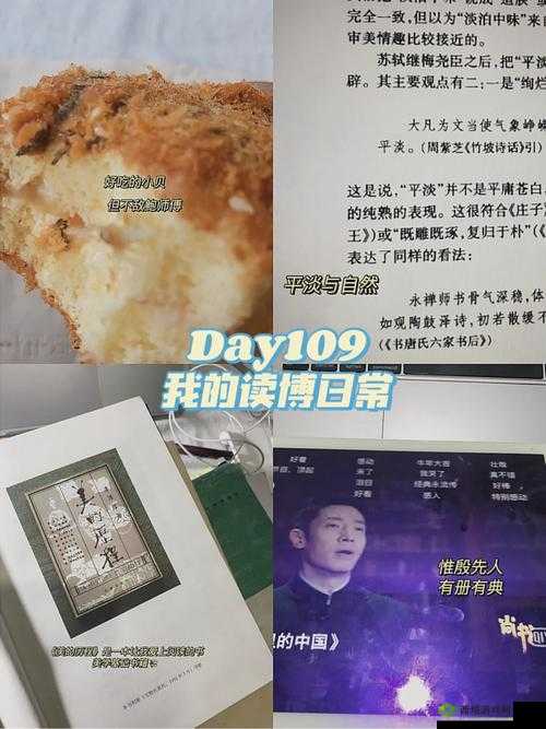 我的美母舒雅琴的背景故事介绍:一段不平凡的人生历程