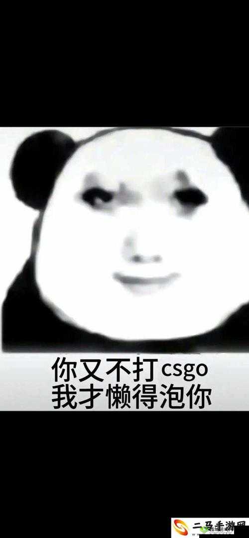 暴躁老姐的 csgo 心得分享视频独家揭秘:带你走进不一样的游戏世界