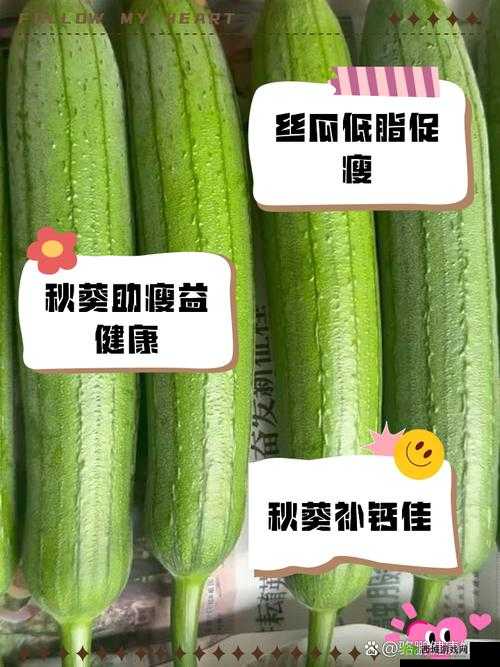 绿巨人秋葵黄瓜榴莲丝瓜:丰富蔬果带来的独特魅力与营养