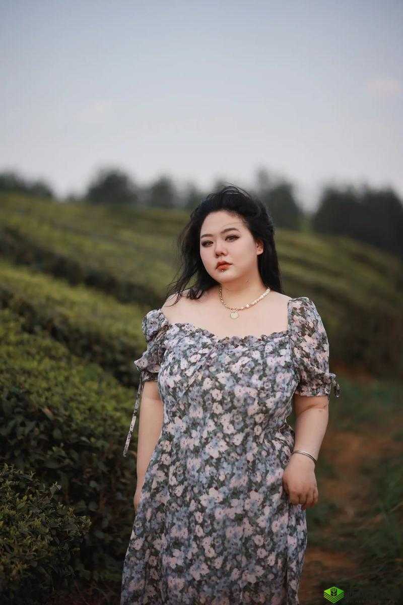 大码女胖 mm 加肥加大时尚风:展现自信美丽的新潮流