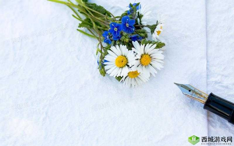一支笔置于菊花旁:别样的独特景致
