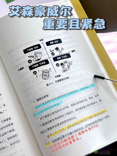 放学别跑公测开启,新手问答指南在资源管理中的重要性及高效利用策略