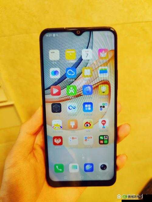 y31 成色好却无法进入,原因究竟为何?