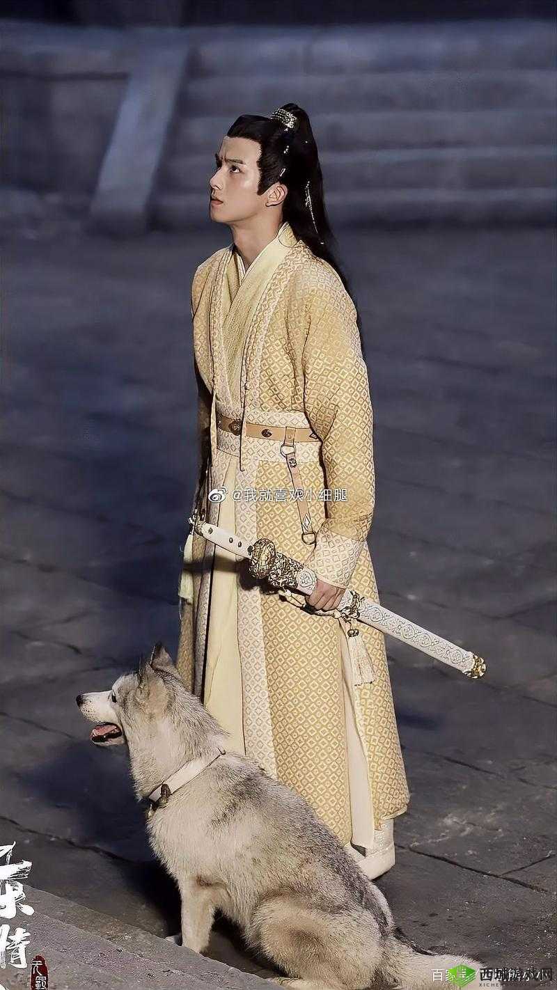 小小水蜜桃电视剧陈情令:带你走进唯美仙侠世界