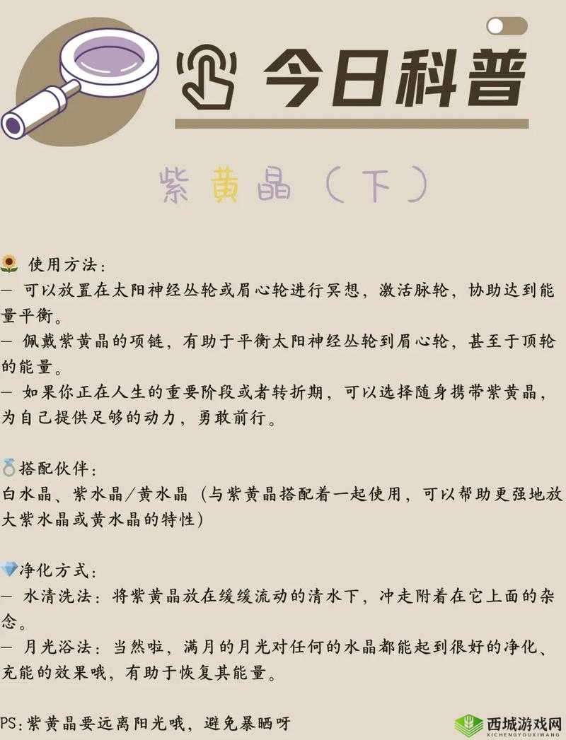 成人色倩网相关内容:独特视角解读其魅力与奥秘