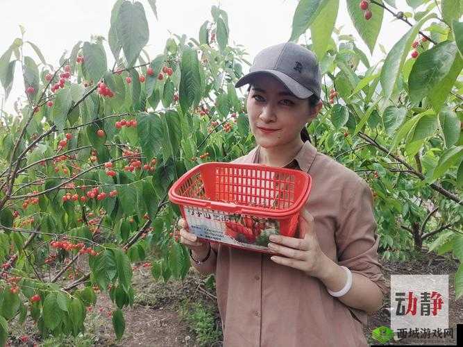 阴桃直播:带你走进不一样的精彩世界