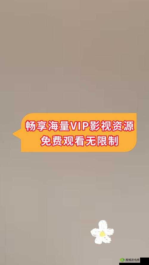 免费看片播放器:畅享海量高清影视资源