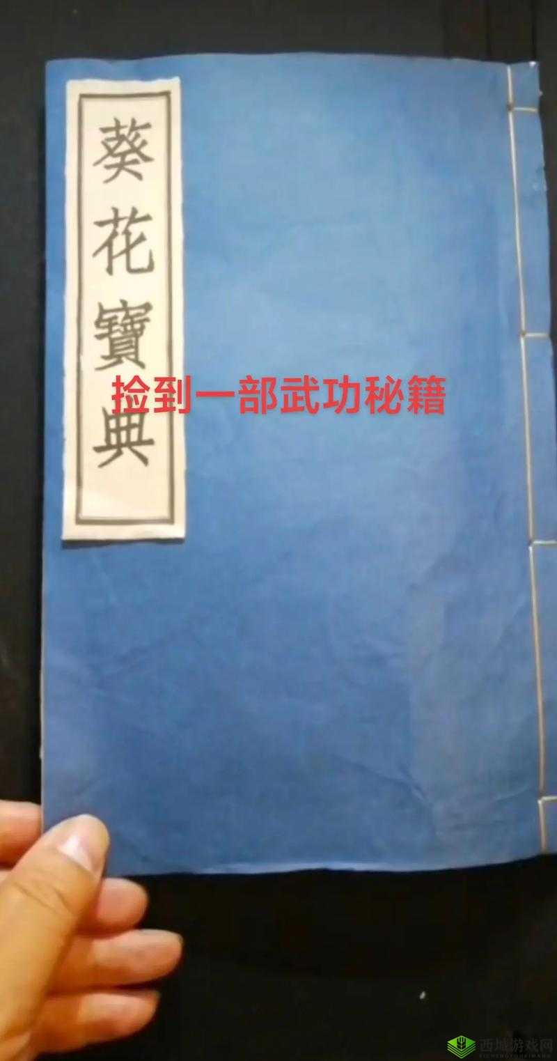 我的侠客赤刀神功，解锁绝世武功的秘籍