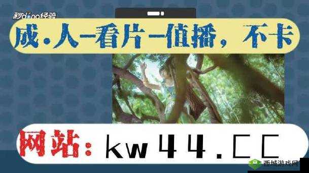 天天 5G 天天爽成人版免费,你真的了解它吗?
