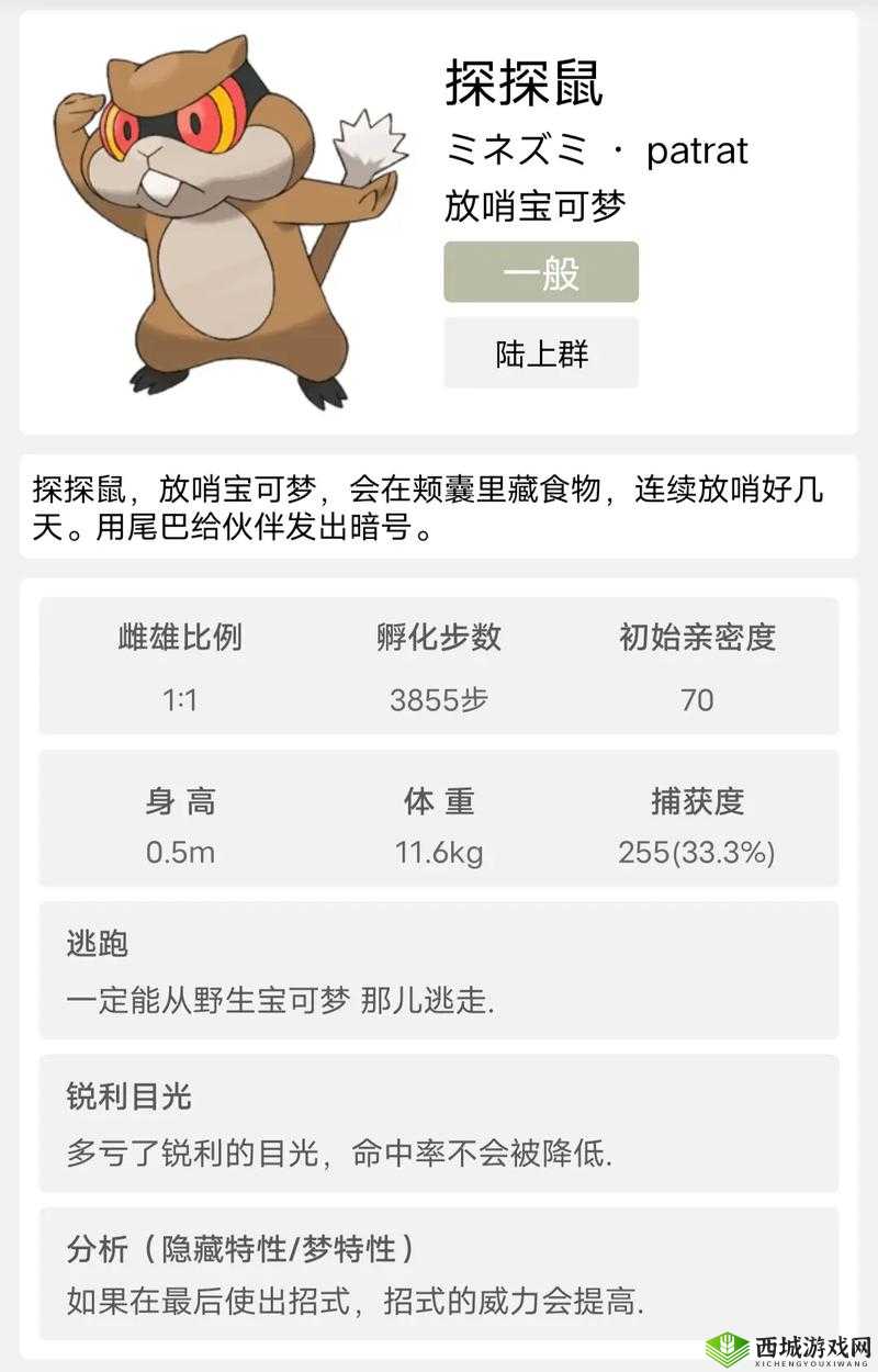 造梦无双吱吱鼠怎么样？宠物技能与进化路线一览